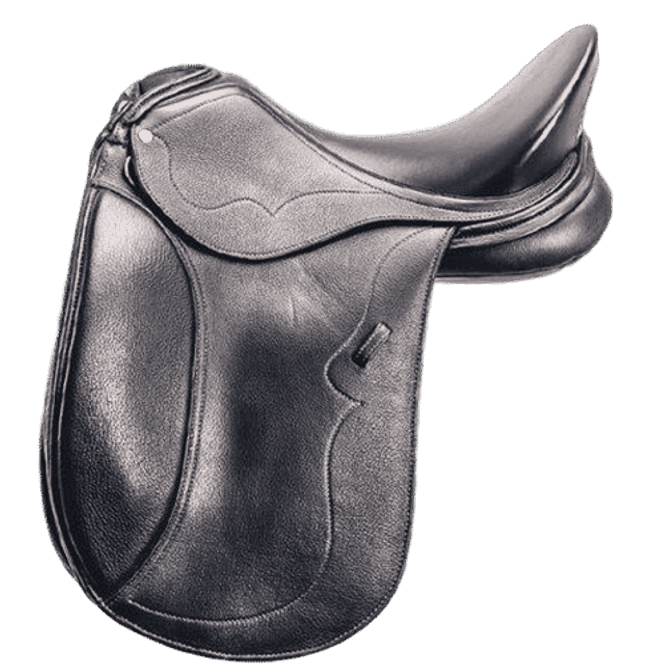 Hovedbilde CL Dressursal Rike